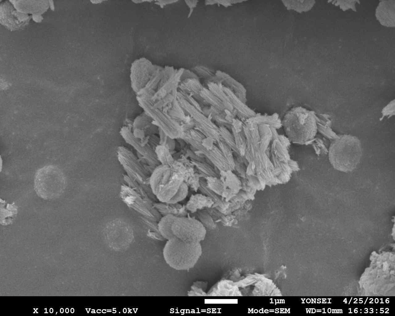 NH4NO3를 첨가제로 사용한 경우 생성된 금속탄산염의 SEM image