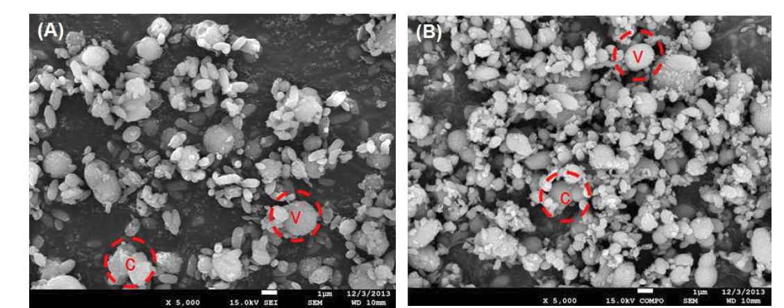 30wt% MEA와 Ca(OH)2에 의한 생성물의 SEM 이미지