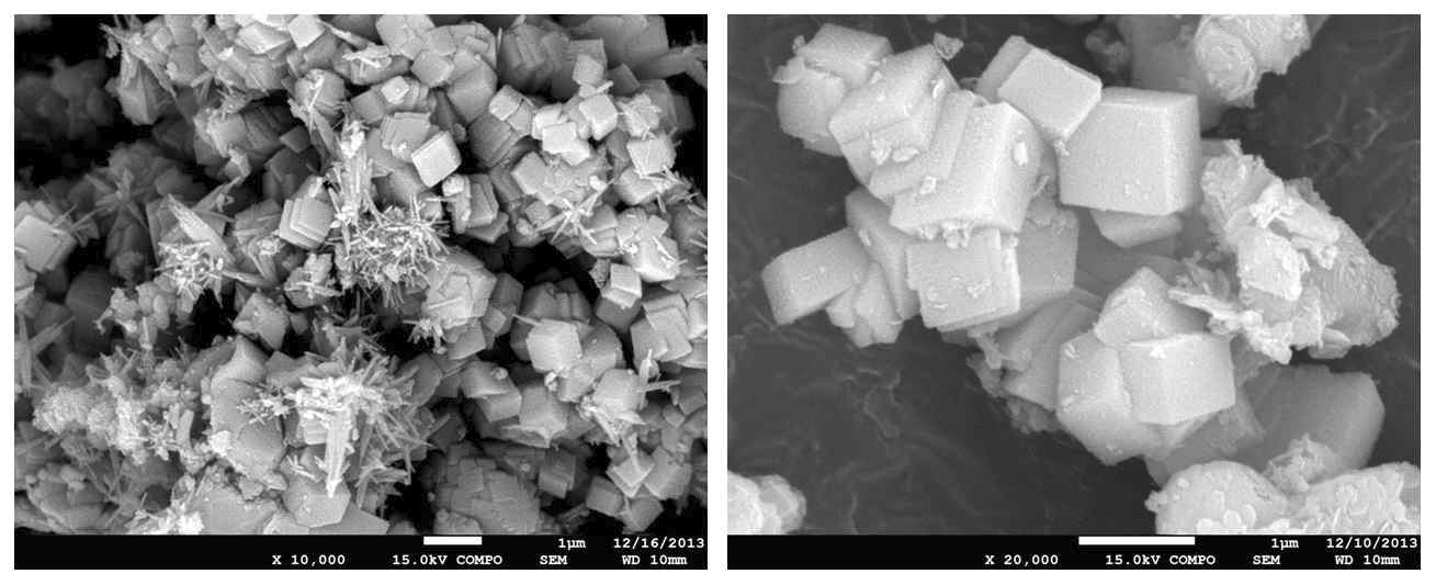 30 wt% DEA로부터 생성된 aragonite(orthorhombic structure, 좌측)와 5 wt% MDEA로부터 생성된 calcite(conchoidal structure, 우측)의 SEM image