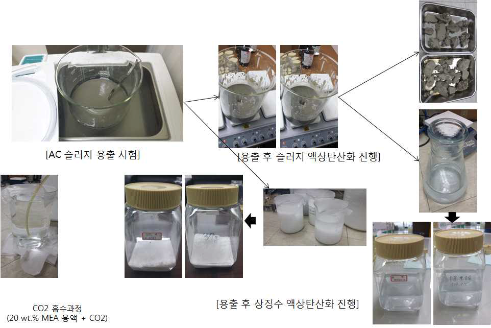 슬러지의 화학적 처리(용출) 및 액상탄산화 과정