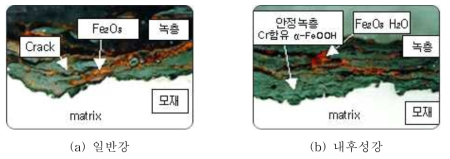 일반강 및 내후성강의 부식 모식도