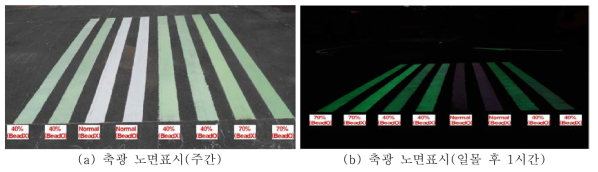 주간 및 야간 축광 노면표시 비교 사진