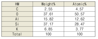 HM의 EDX 성분 분석