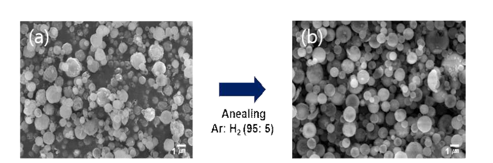 분무열분해법으로 생성된 입자의 SEM 이미지