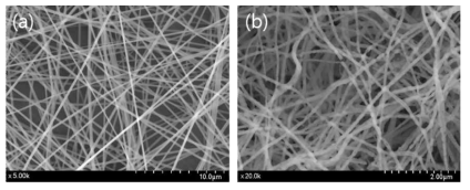 전기방사를 통해 합성된 나노섬유의 SEM 이미지