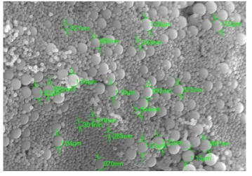 합성한 구형의 silica 입자의 SEM 이미지.