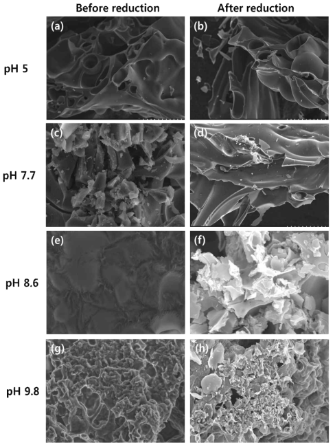 그림 42의 2번 공정 실험 결과 (No silica and flux): pH에 따라 얻어진 물질의 환원 전후 SEM 이미지.