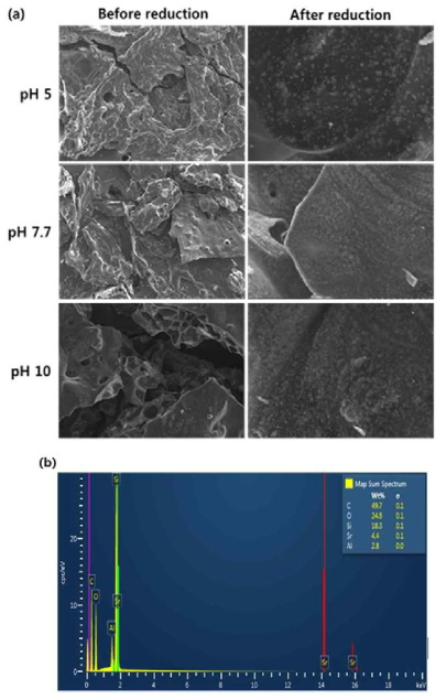 그림 41의 2번 공정 실험 결과 (silica 0.5 g): (a) pH에 따라 얻어진 물질의 환원 전후 SEM images, (b) EDS 분석 결과 (pH 5의 경우).
