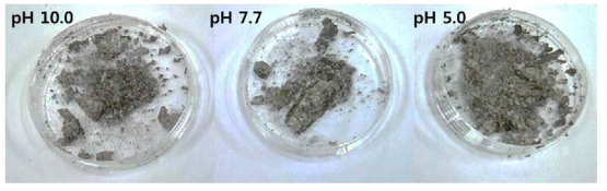 [그림 42]의 2번 공정 실험 결과 (silica 0.5 g) 얻어진 샘플의 사진.