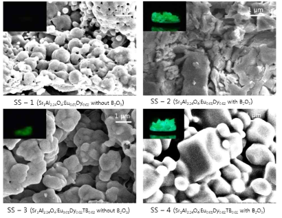 고상법으로 합성된 스트론튬 알루미네이트 SEM 이미지
