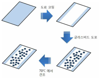 실제 사용되는 도료와 초발수 글라스 비드를 이용하여 제작한 샘플의 모식도.