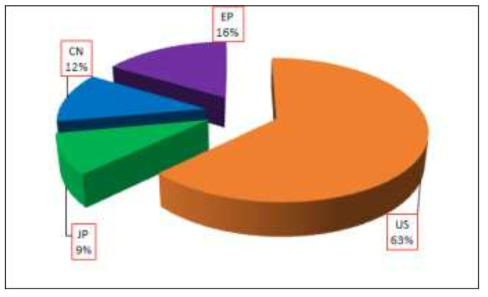 주요 국가 출원건 비율