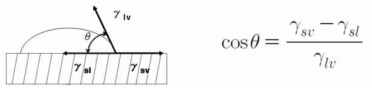 접촉각 계산식 : Young Equation