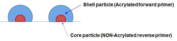 Core-shell 방식 다공성 지지체의 구성