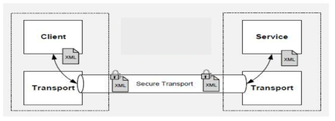 클라이언트와 서비스 간 Transport Security