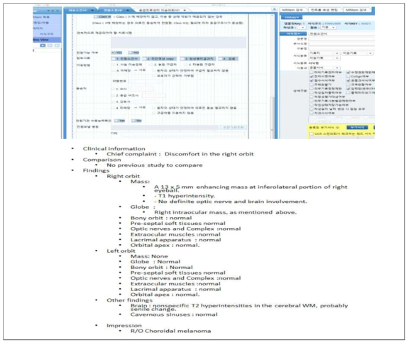 응급환자 전원소견서 및 표준 CT/MRI 판독소견서 양식 생성 및 파일럿 적용