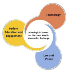 미국의 Meaningful Consent for eIHE