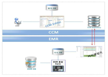 CCM이 적용된 서식 DB 기반의 EMR 시스템 구성