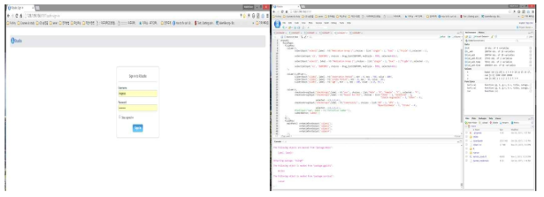 R studio Web server 접속 초기화면(좌)과 접속 후 분석을 위한 작업중인 화면(우)
