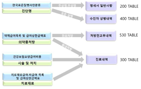 보험심사평가원 표본자료의 각 테이블에 기록된 데이터의 종류