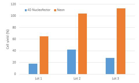 4D-Necleofector 대비 Neon 사용시 유전자 도입 후 세포 회수율