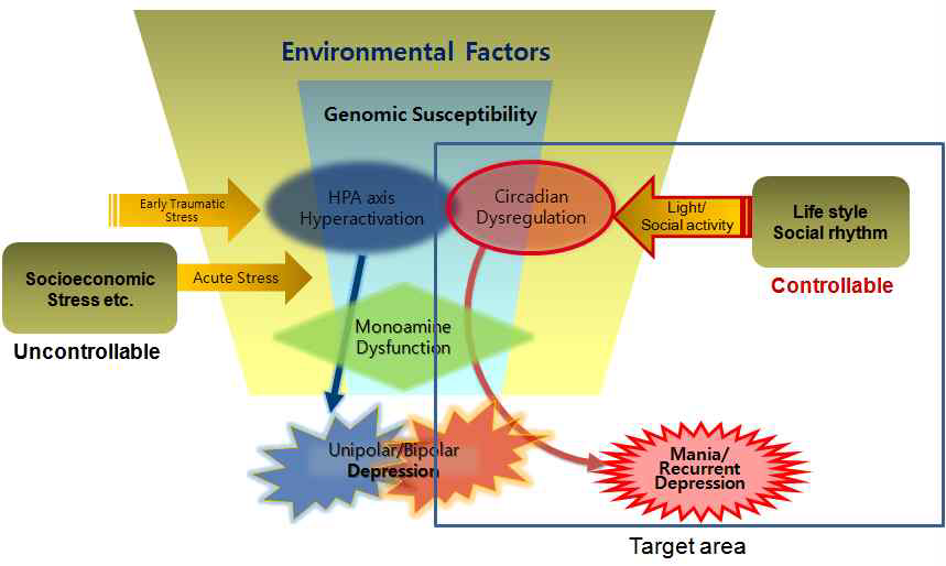 우울증/조울증의 발생에서 생체리듬의 조절의 중요성, 기분장애의 두 가지 환경적 요인으로 “스트레스”와 “생체리듬변동”에 주목함. 하지만 이중, 의학적인 치료적 통재가 가능한 것은 “생체리듬”임.