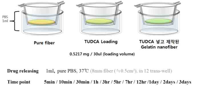 제작된 약물 담지 파이버 패치로부터의 약물방출 양상 실험
