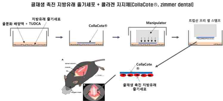 식약처 상담을 통해 변경된 개발제품의 제작 과정