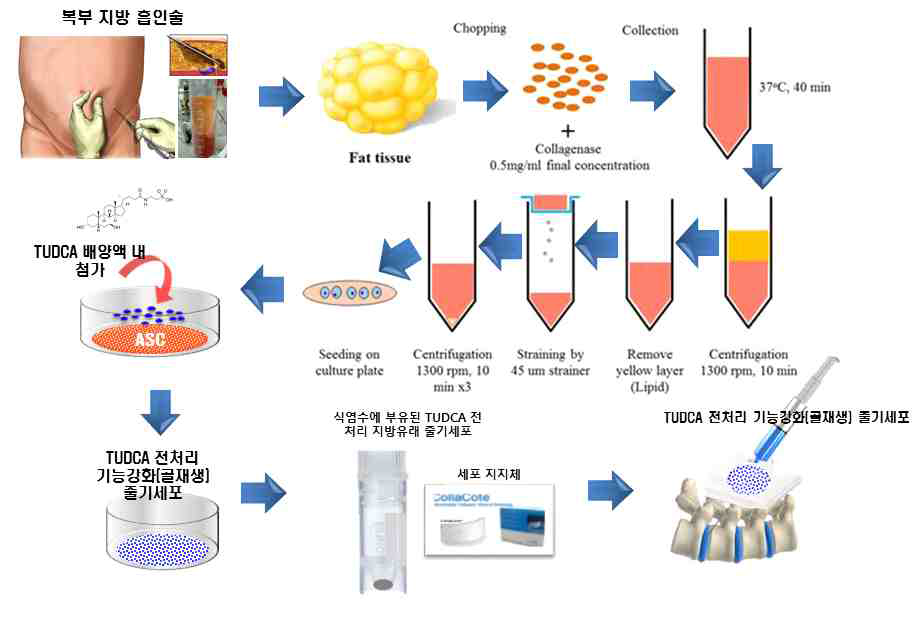 타우셀-O 제조공정 예시