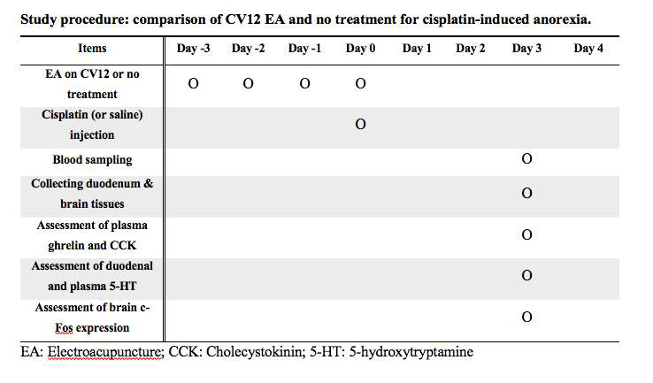 CV12 전침 치료를 통한 항암제 식욕부진 효과 평가 실험과정