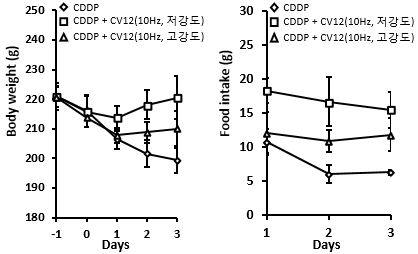 Cisplatin 유발성 식욕부진에 대한 CV12 전침의 강도별 비교: 체중, 사료섭취량