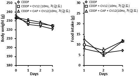 Cisplatin 유발성 식욕부진에 대한 CV12 전침의 효과 ② : 체중, 사료섭취량