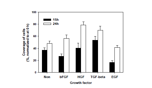 여러 가지 성장인자 별 (100ng/ml), 상피세포의 이동성