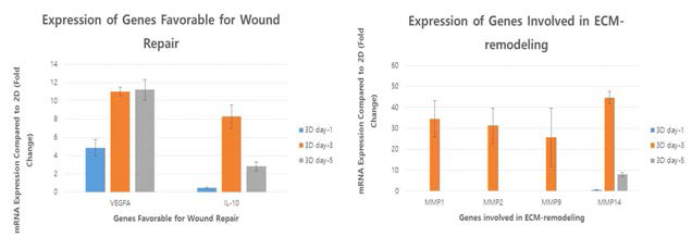 지방줄기세포를 3D spheroids로 배양한 후, 상처 치유 및 ECM 리모델링 관련 유전의 발현률을 cell monolayer와 비교