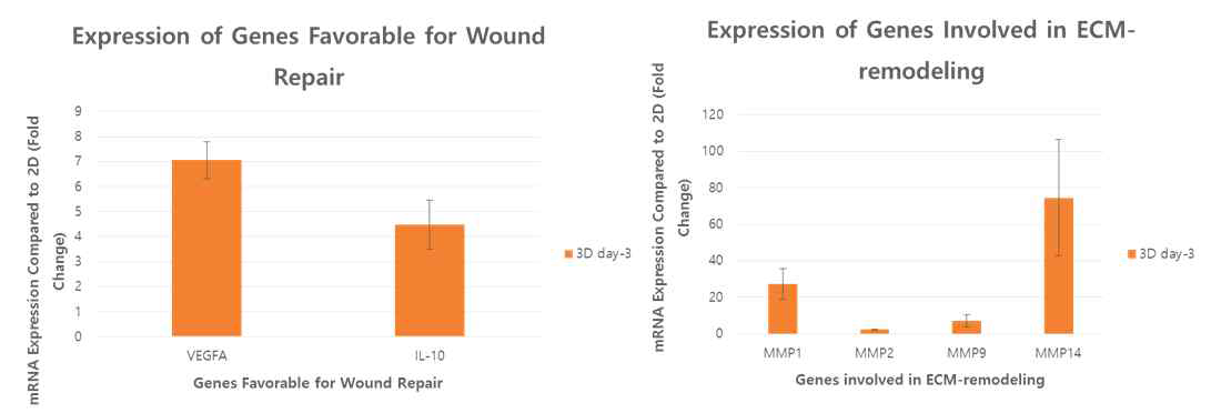 골수유래줄기세포를 3D spheroids로 배양 후, 상처 치유 및 ECM 리모델링 관련 유전자의 발현률을 cell monolayer와 비교