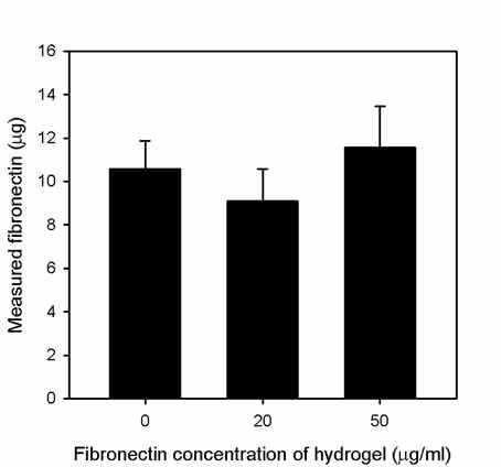 하이드로젤 내의 fibronectin 고정화율