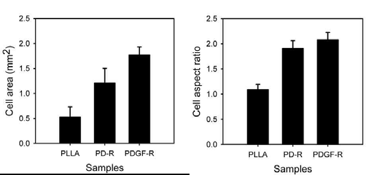 PLLA, PD-PLLA, PD-PDGF-PLLA 상에서의 cell spreading area와 aspect ratio