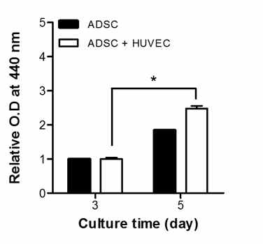 3일차 흡광도로 표준화된 MTT assay 결과