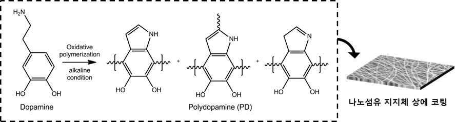 Dopamine의 polymerization을 통한 나노섬유 지지체 표면 개질