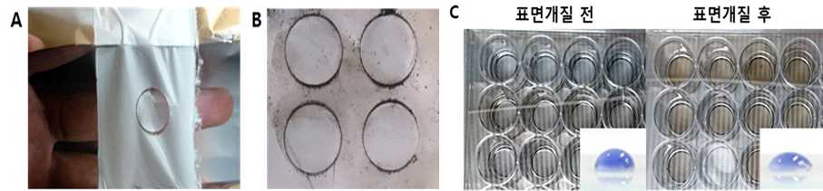 (A) Polydopamine coating을 통한 표면 개질을 위해 분리된 나노섬유 지지체. (B) Polydopamine coating이 진행 중인 나노섬유 지지체. (C) 세포 실험을 위해 멸균된 나노섬유 지지체와 물 접촉각 (water contact angle) 변화