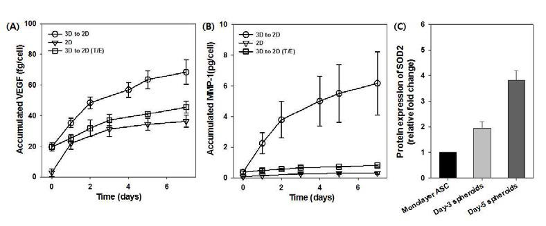 3D로 배양된 줄기세포 스페로이드의 조직 재생 기능 단백질인 (A) VEGF, (B) MMP-1의 생성량 확인 및 저산소환경에서 생성되는 (C) SOD2의 생성량 확인