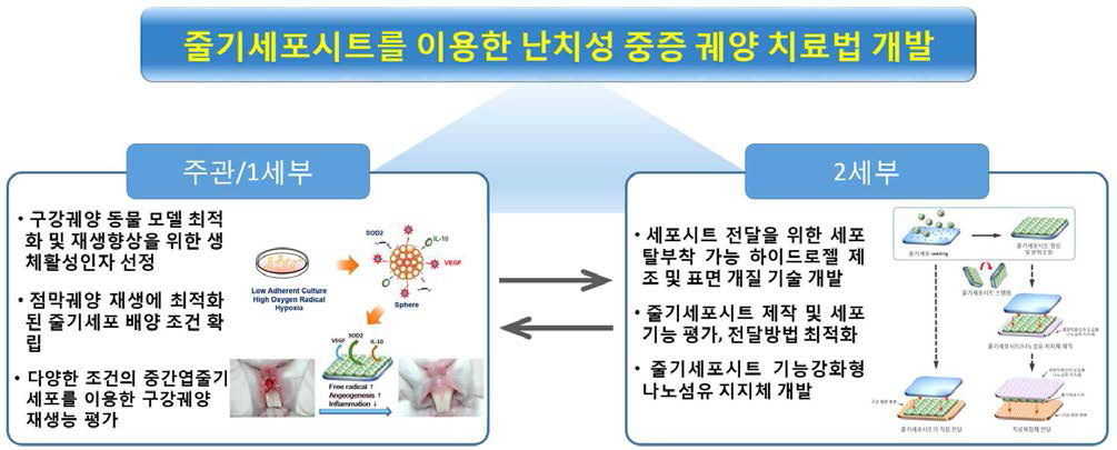 본 연구개발 과제의 개요