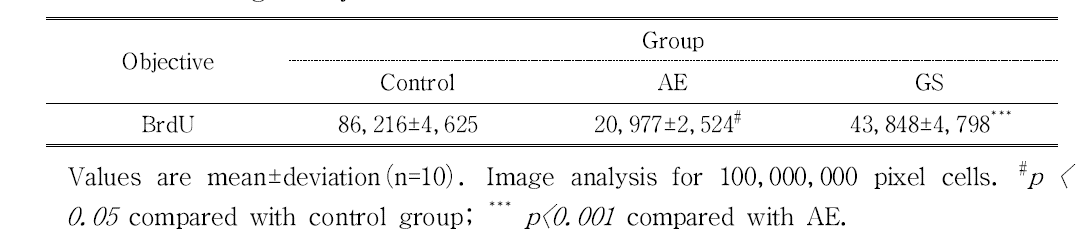 The Image Analysis for BrdU stain in mouse testis