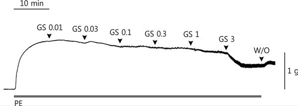 The concentration-response curve of Gami-Shinkiwhan in isolated strips of rabbit corpus cavernosum smooth muscle precontracted with PE. W/O, wash out or change of bath medium with a solution to which no drug is applied