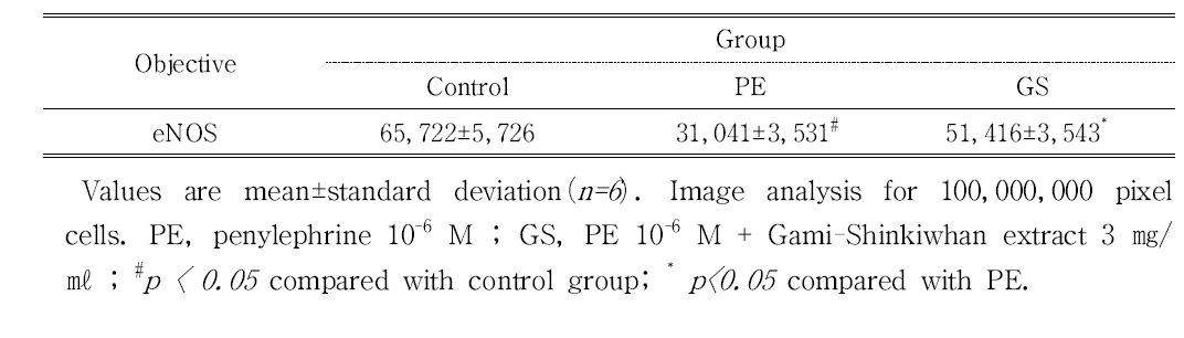 The image analysis for eNOS positive reaction