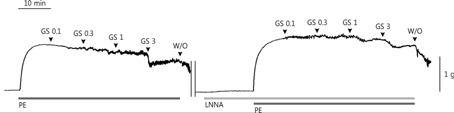 Effects of pre-treatment of L-NNA on Relaxation effects of Gami-Shinkiwhan in isolated rabbit corpus cavernosum smooth muscle