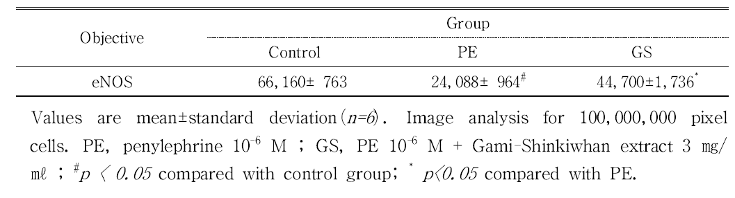 The image analysis for eNOS positive reaction