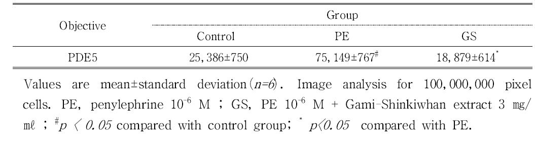 The image analysis for PDE5 positive reaction