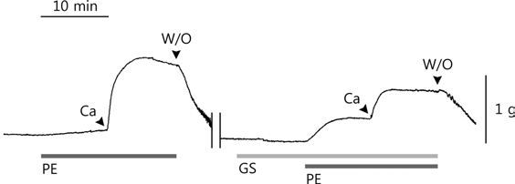 Effects of pre-treatment of Gami-Shinkiwhan on calcium-induced contraction of corpus cavernosal strip in calcium free media