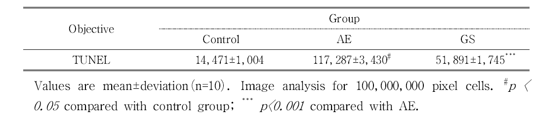 The Image Analysis for TUNEL assay in mouse testis